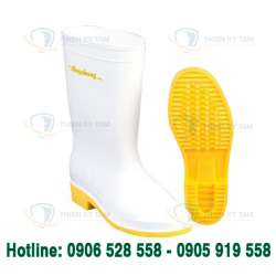 ỦNG THÙY DƯƠNG MÀU TRẮNG